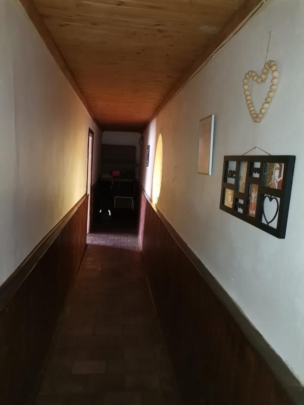 15384687