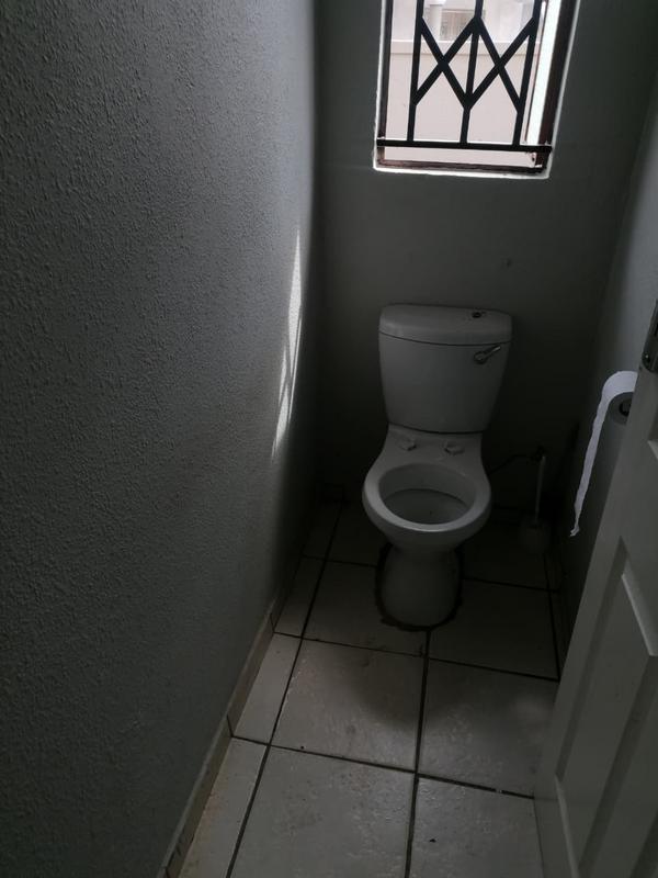 15545237